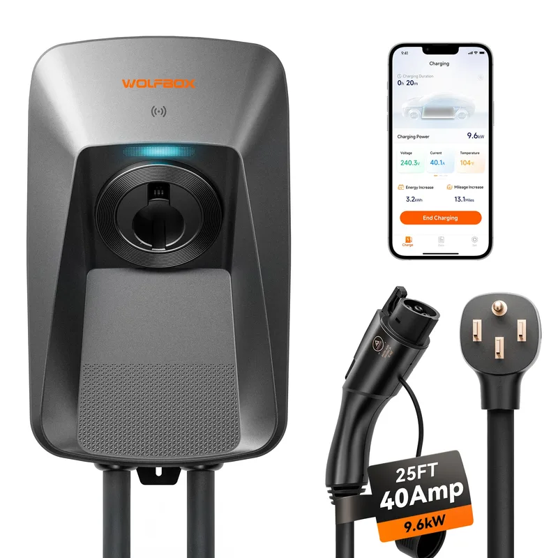 Manufacturer photo of the WOLFBOX WE40